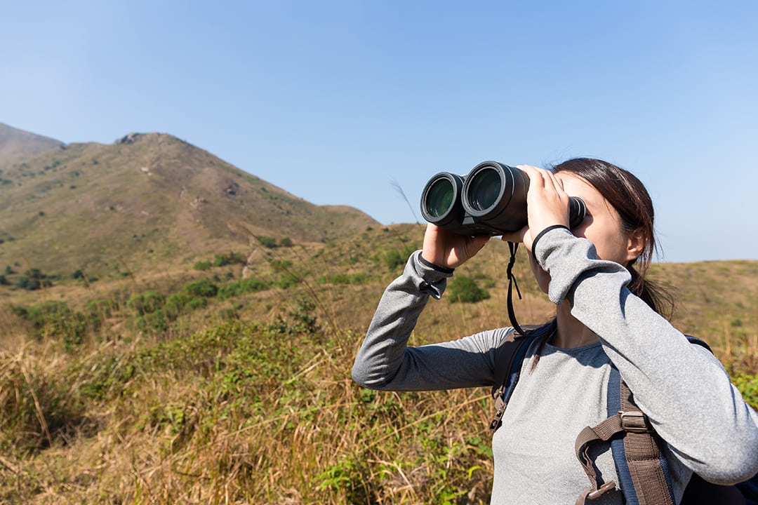 C'est quoi exactement le référencement SEO ?