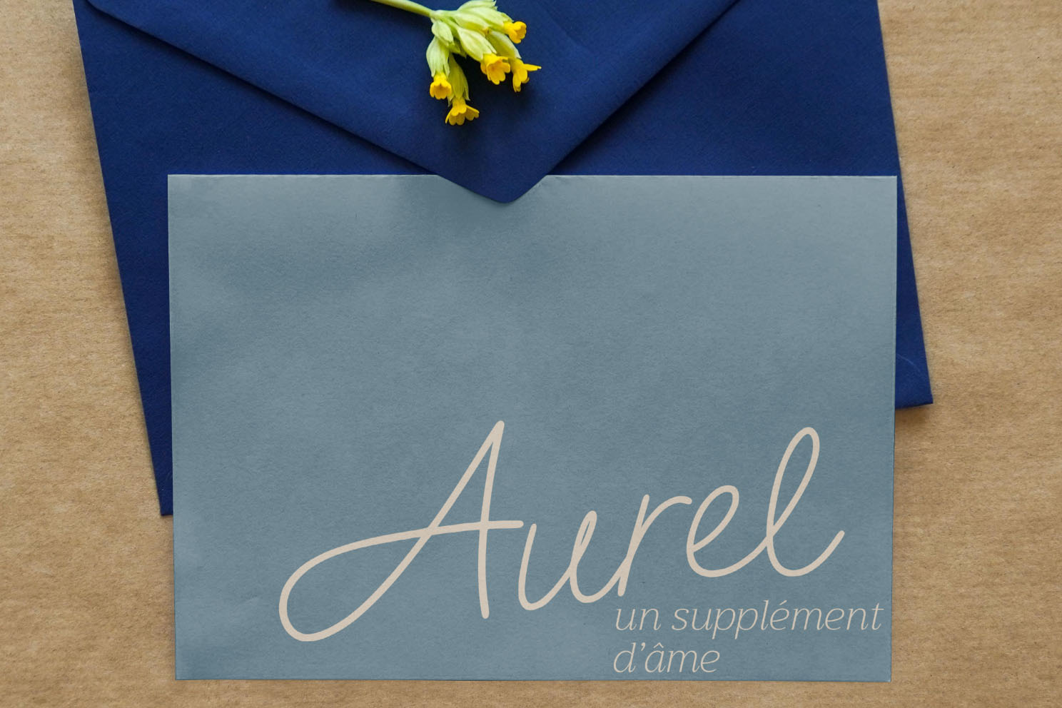 Photo du projet Aurel