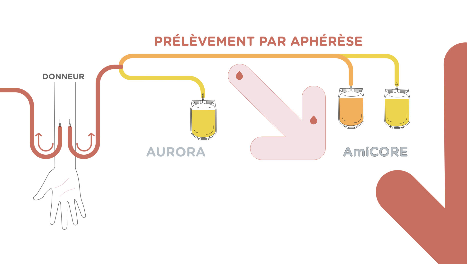 Photo du projet Fresenius Kabi