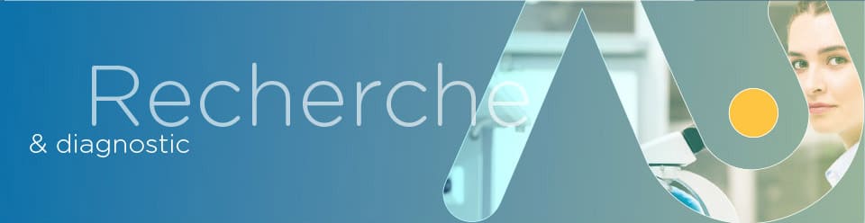 Bandeau recherche